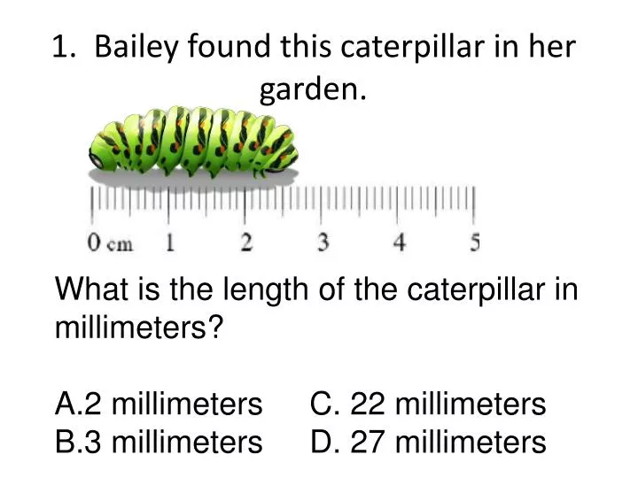 1 bailey found this caterpillar in her garden
