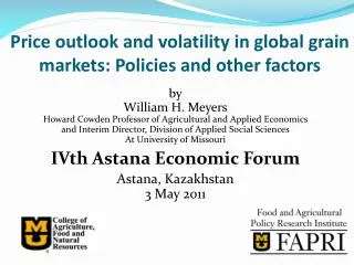 Price outlook and volatility in global grain markets: Policies and other factors