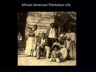 African American Plantation Life