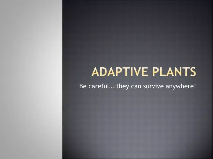 adaptive plants