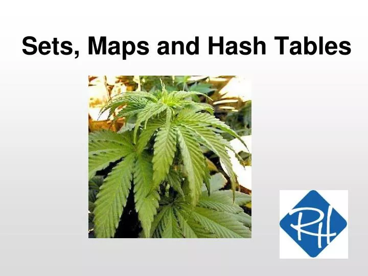 sets maps and hash tables