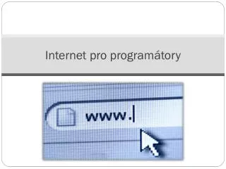 Internet pro programátory