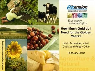 How Much Gold do I Need for the Golden Years? Nick Schneider,	Kristi Cutts, and Peggy Olive