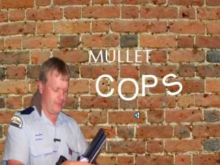 Mullet Police