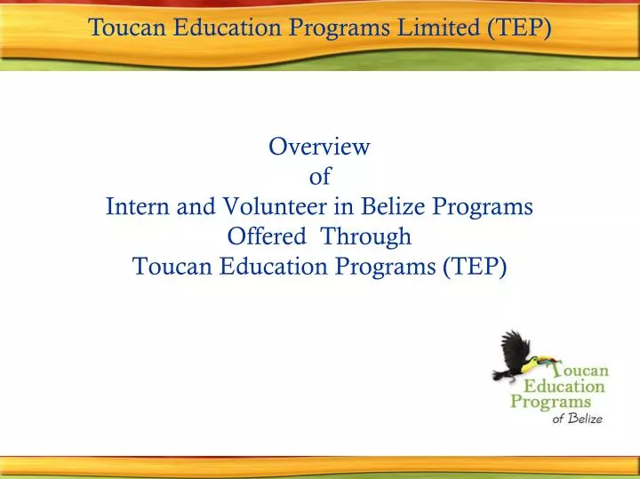 overview of intern and volunteer in belize programs offered through toucan education programs tep