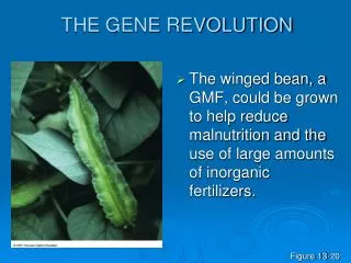 THE GENE REVOLUTION