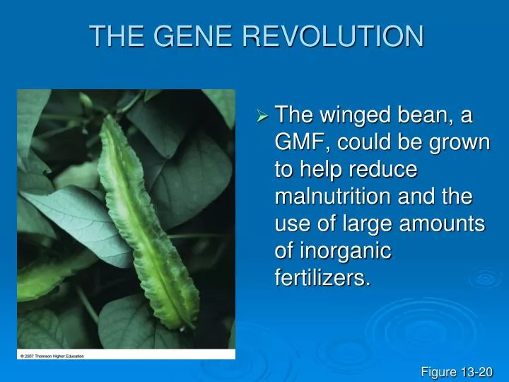 the gene revolution