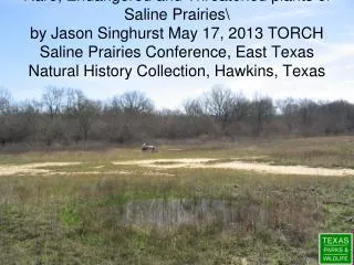 Why are Arkansas, Louisiana, and Texas scientists interested in saline prairies?