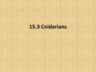 15.3 Cnidarians