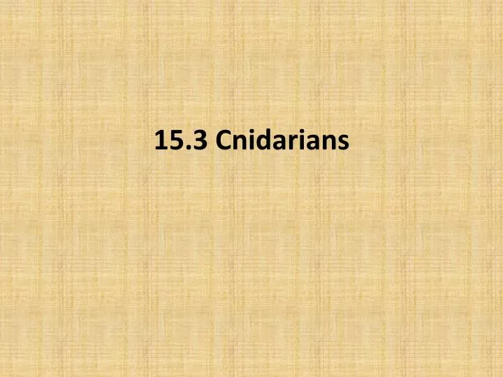 15 3 cnidarians