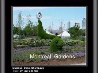 Montreal Gardens