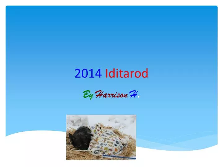 2014 iditarod