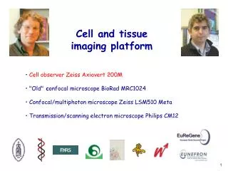 Cell and tissue imaging platform