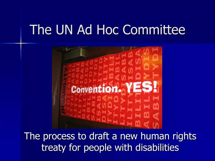 the un ad hoc committee