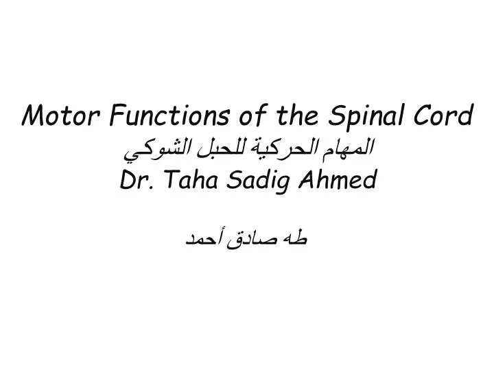 motor functions of the spinal cord dr taha sadig ahmed