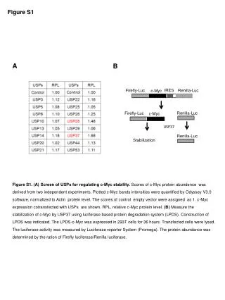 Figure S1