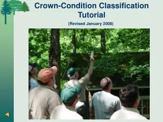 Crown-Condition Classification Tutorial