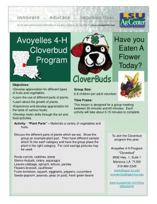 Avoyelles 4-H Cloverbud Program