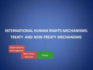 INTERNATIONAL HUMAN RIGHTS MECHANISMS: