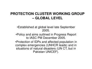 PROTECTION CLUSTER WORKING GROUP – GLOBAL LEVEL
