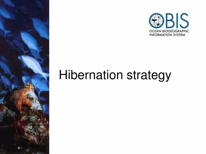 hibernation strategy