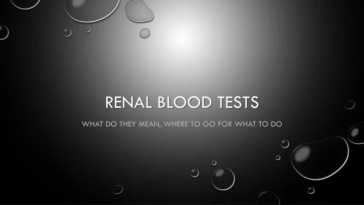 renal blood tests