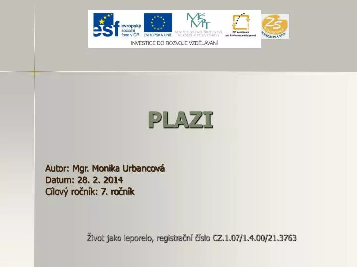 plazi