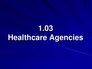 1.03 Healthcare Agencies