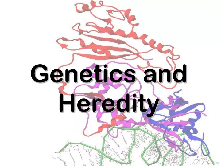 genetics and heredity