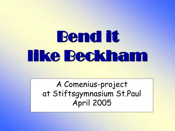 a comenius project at stiftsgymnasium st paul april 2005