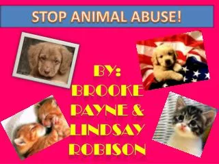 STOP ANIMAL ABUSE!