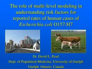 Dr. David L. Pearl Dept. of Population Medicine, University of Guelph Guelph, Ontario, Canada
