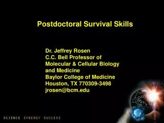 Dr. Jeffrey Rosen C.C. Bell Professor of Molecular &amp; Cellular Biology and Medicine