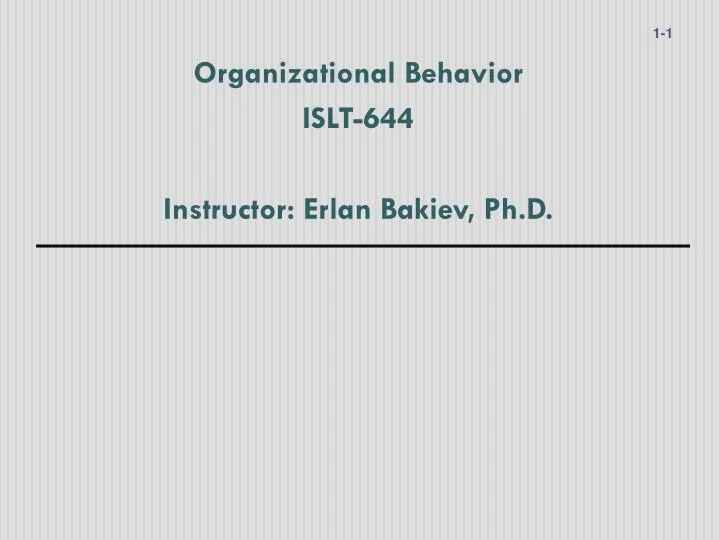 organizational behavior islt 644 instructor erlan bakiev ph d