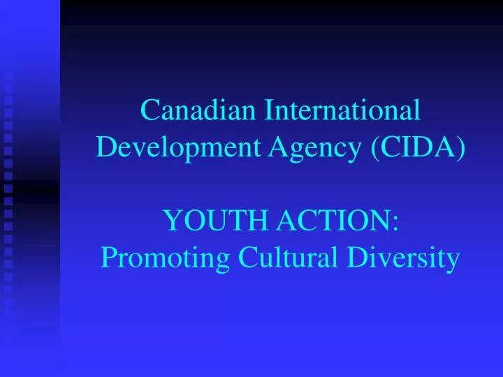 canadian international development agency cida youth action promoting cultural diversity