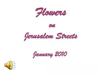 Flowers on Jerusalem Streets