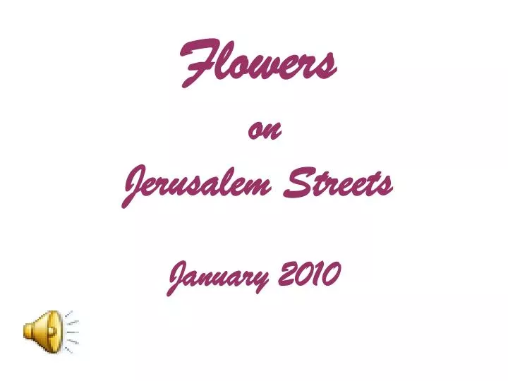 flowers on jerusalem streets