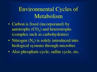 Environmental Cycles of Metabolism
