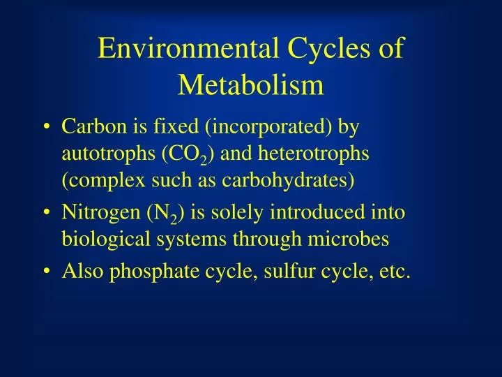 environmental cycles of metabolism