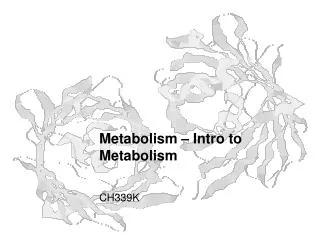 Metabolism – Intro to Metabolism
