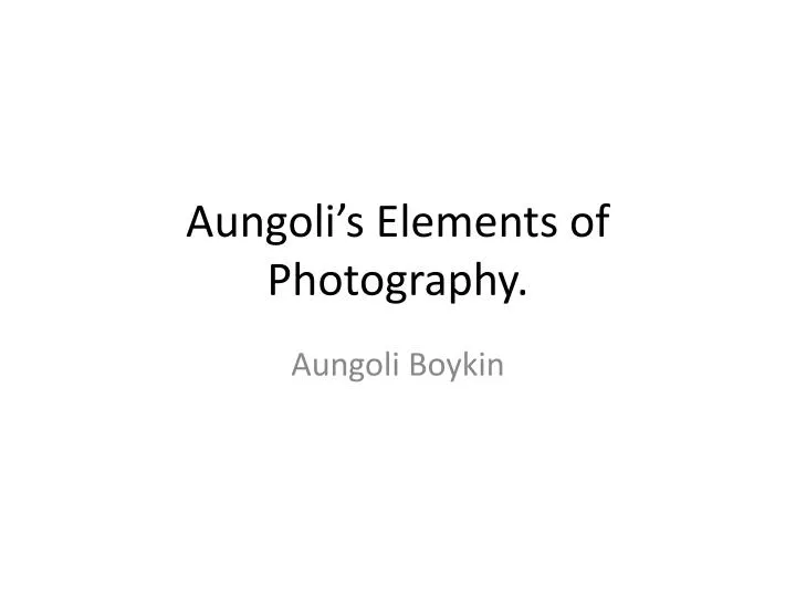 aungoli s elements of photography