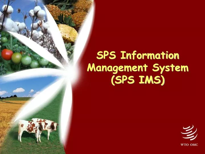 sps information management system sps ims