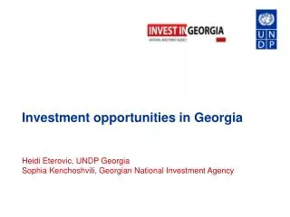 Investment opportunities in Georgia Heidi Eterovic, UNDP Georgia
