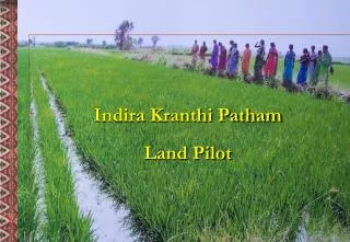 Indira Kranthi Patham Land Pilot