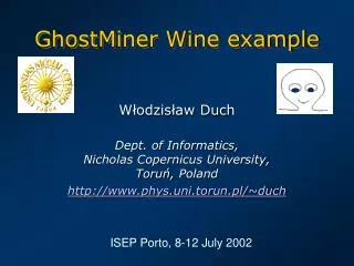 GhostMiner Wine example