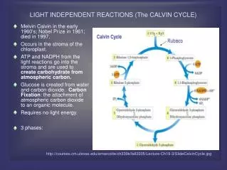 LIGHT INDEPENDENT REACTIONS (The CALVIN CYCLE) ?