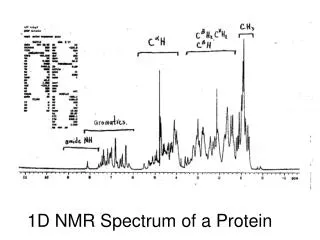 1D NMR Spectrum of a Protein