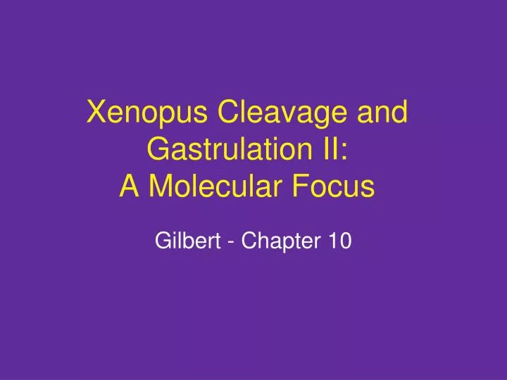 xenopus cleavage and gastrulation ii a molecular focus