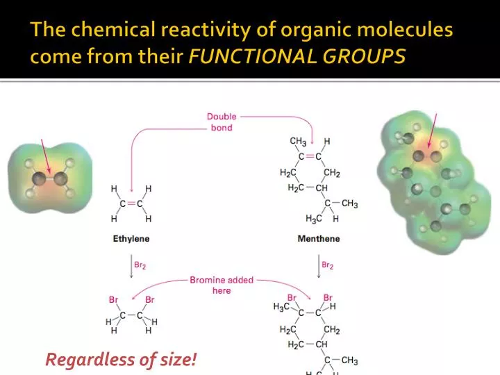 the chemical reactivity of organic molecules come from their functional groups