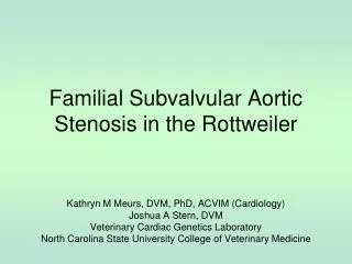 Familial Subvalvular Aortic Stenosis in the Rottweiler
